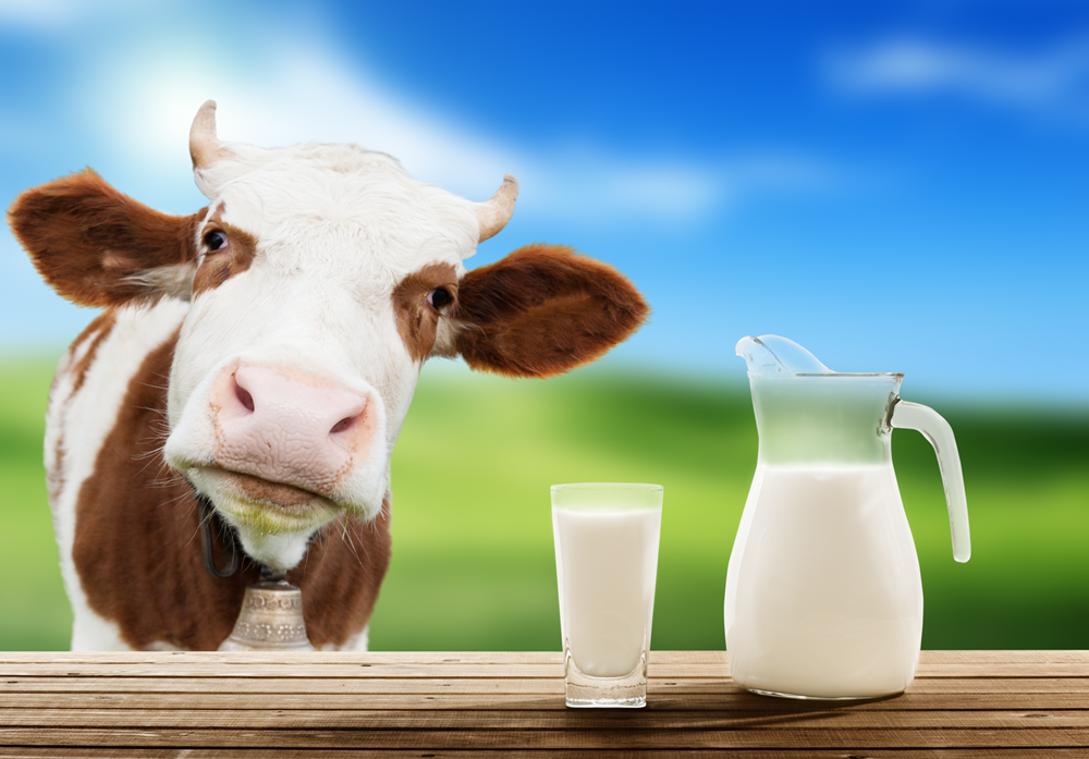Milk the benefits with value-added Bearings from ERIKS & NSK