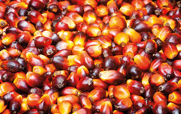 When ERIKS provide initial support to project management