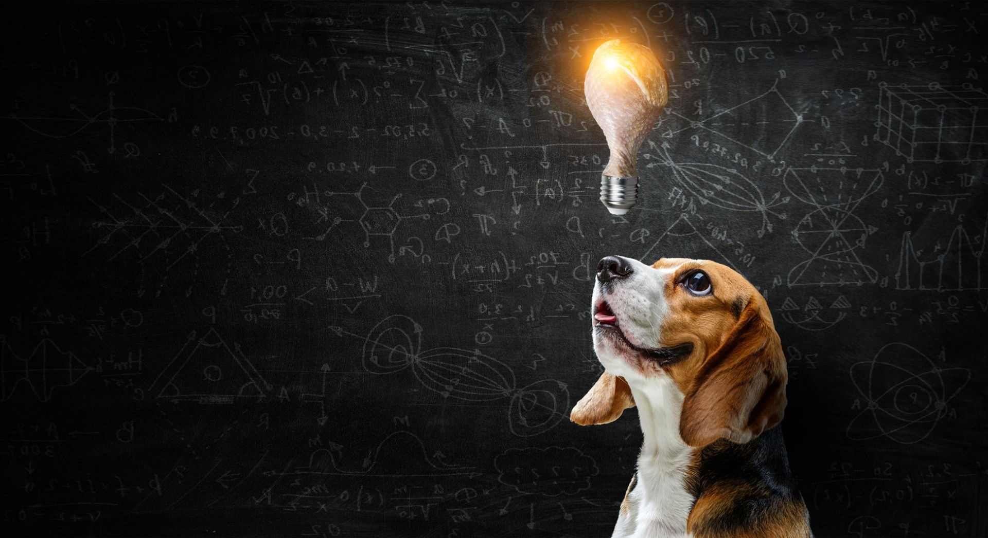 An Open-and-Shut Case of Compliance