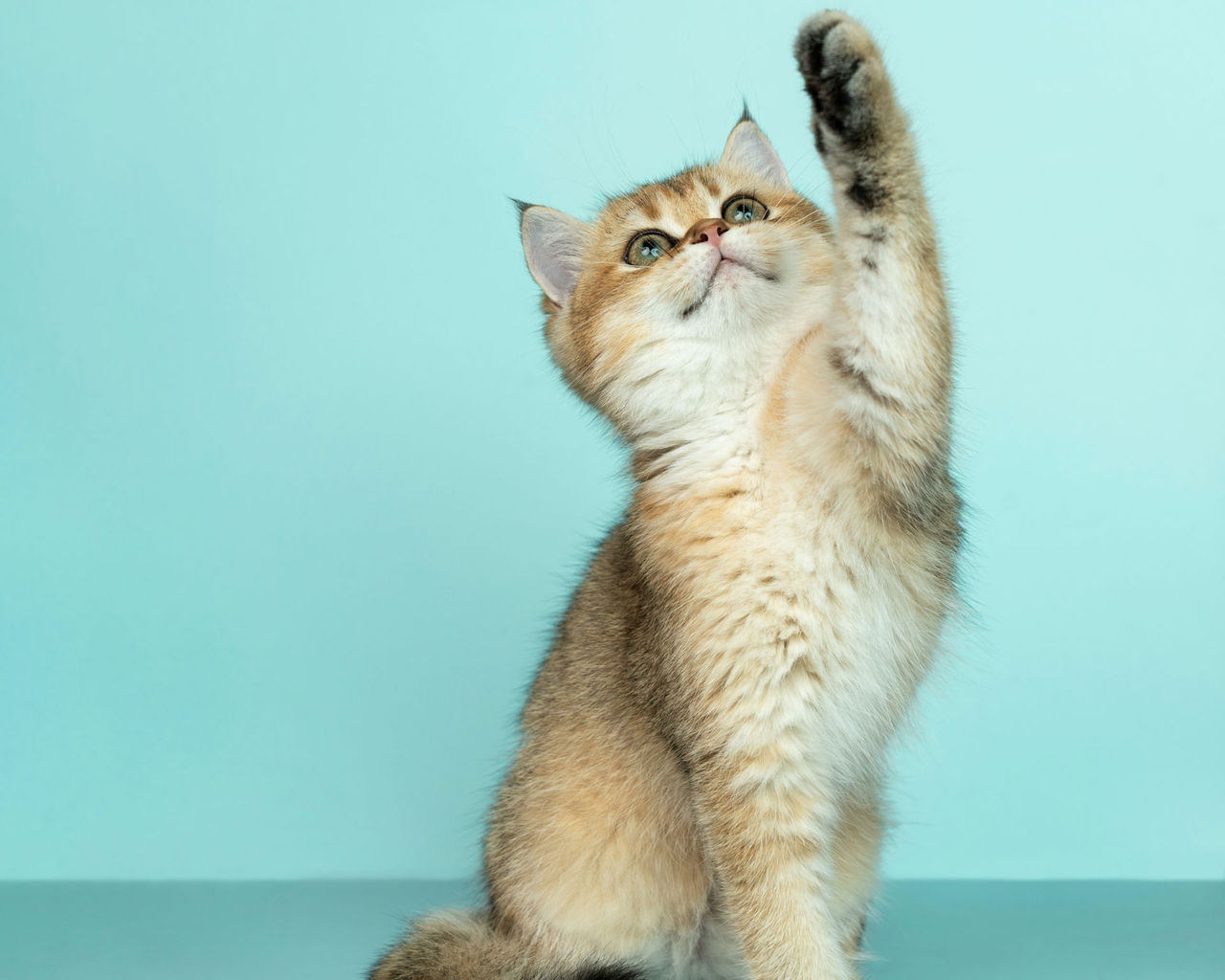 To upgrade your motors, upgrade your experts