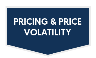 Pricing and Price Volatility