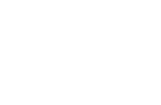 Automobile icon