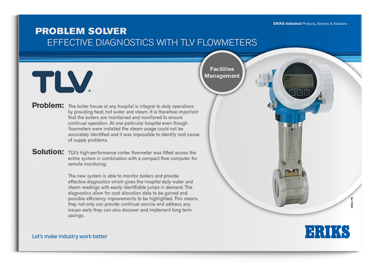 TLV Flowmeter