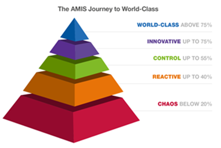 AMIS journey to world-class data shown in pyramid form