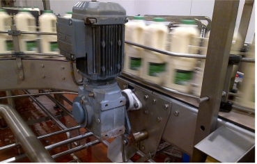 bottles of milk on the production line