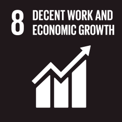 Sustainable Development Goals - Decent Work & Economic Growth
