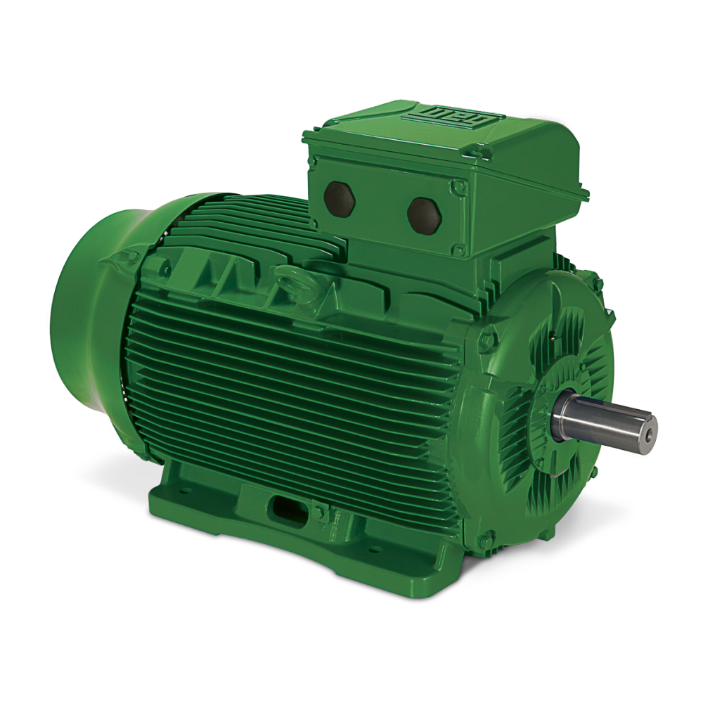 WEG IE3 Motor