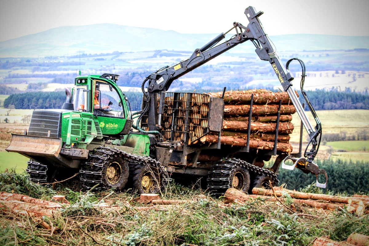 Crane picking up and storing logs