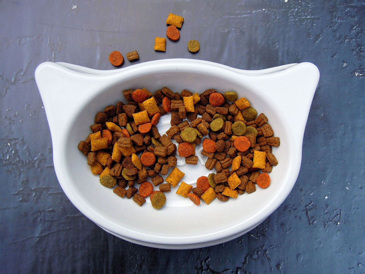 cat food in a cat head shaped bowl