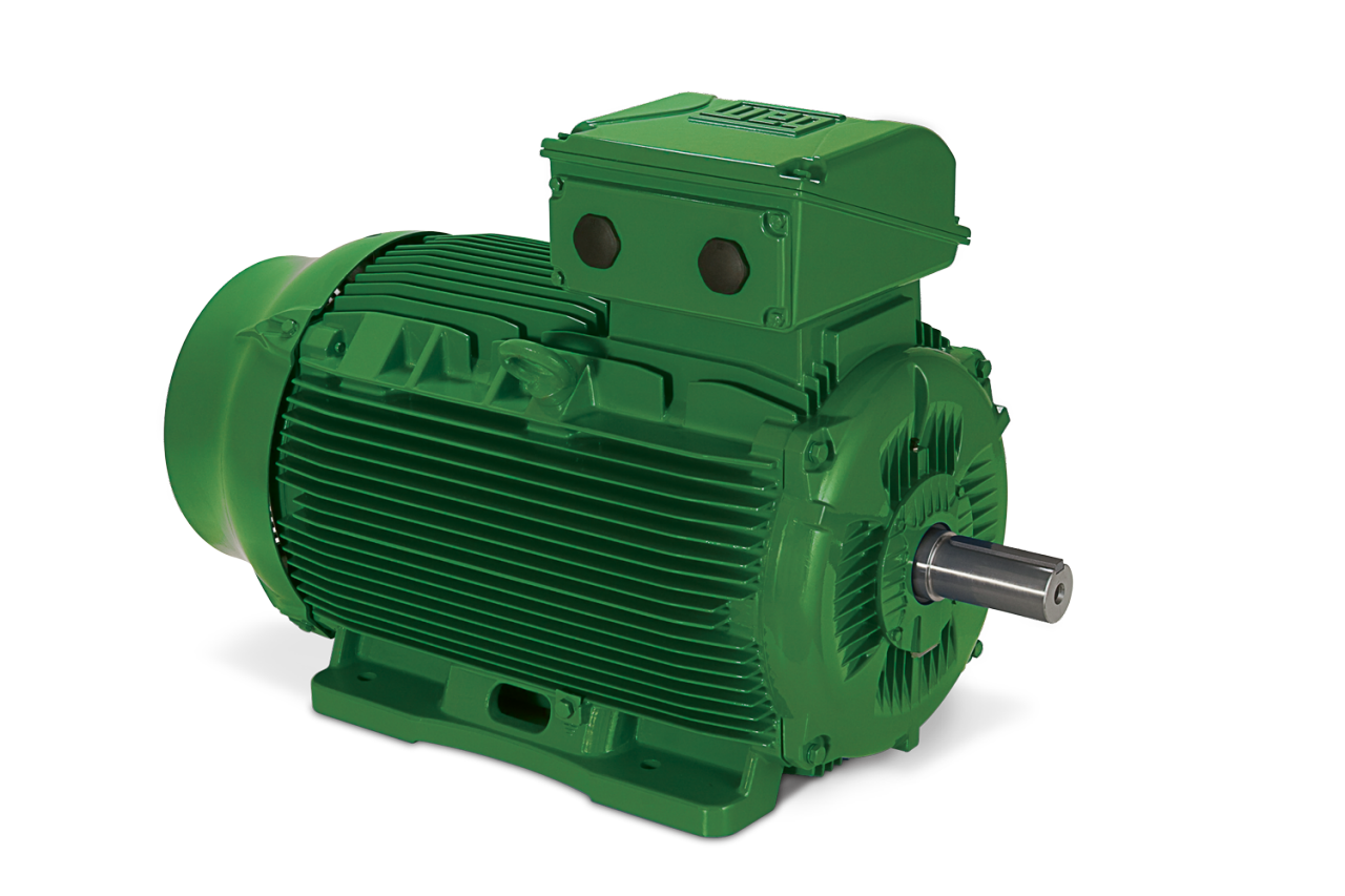 WEG IE3 Motor