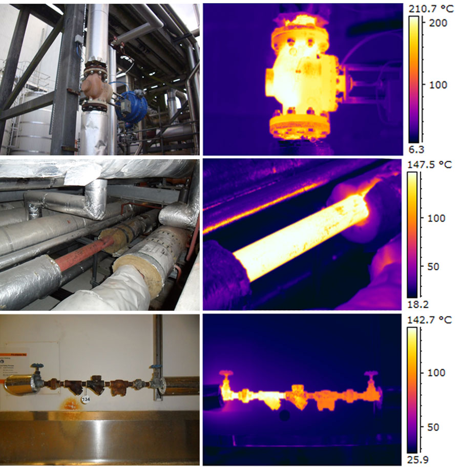 Thermographic Survey