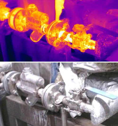 Thermographic Survey